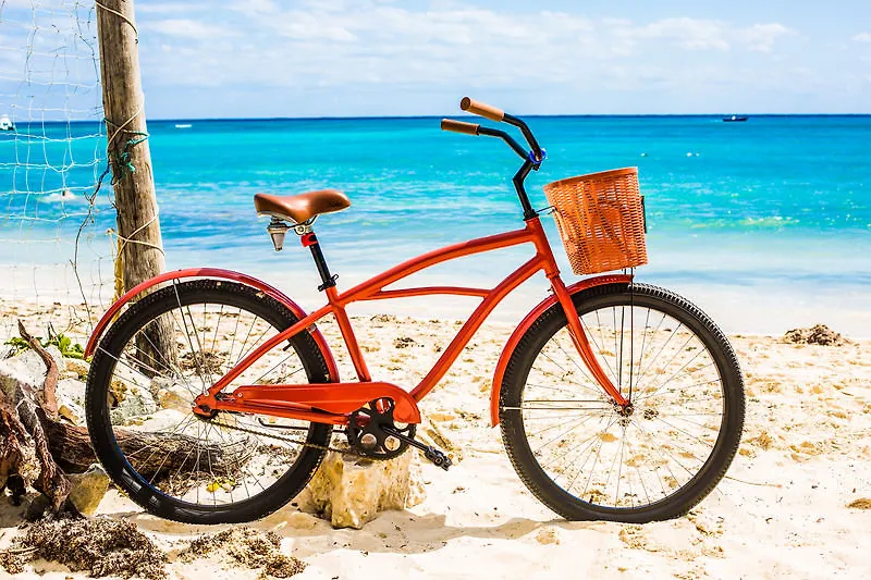 Newport House Playa Daire Playa del Carmen