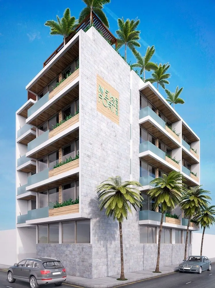 Newport House Playa Daire Playa del Carmen