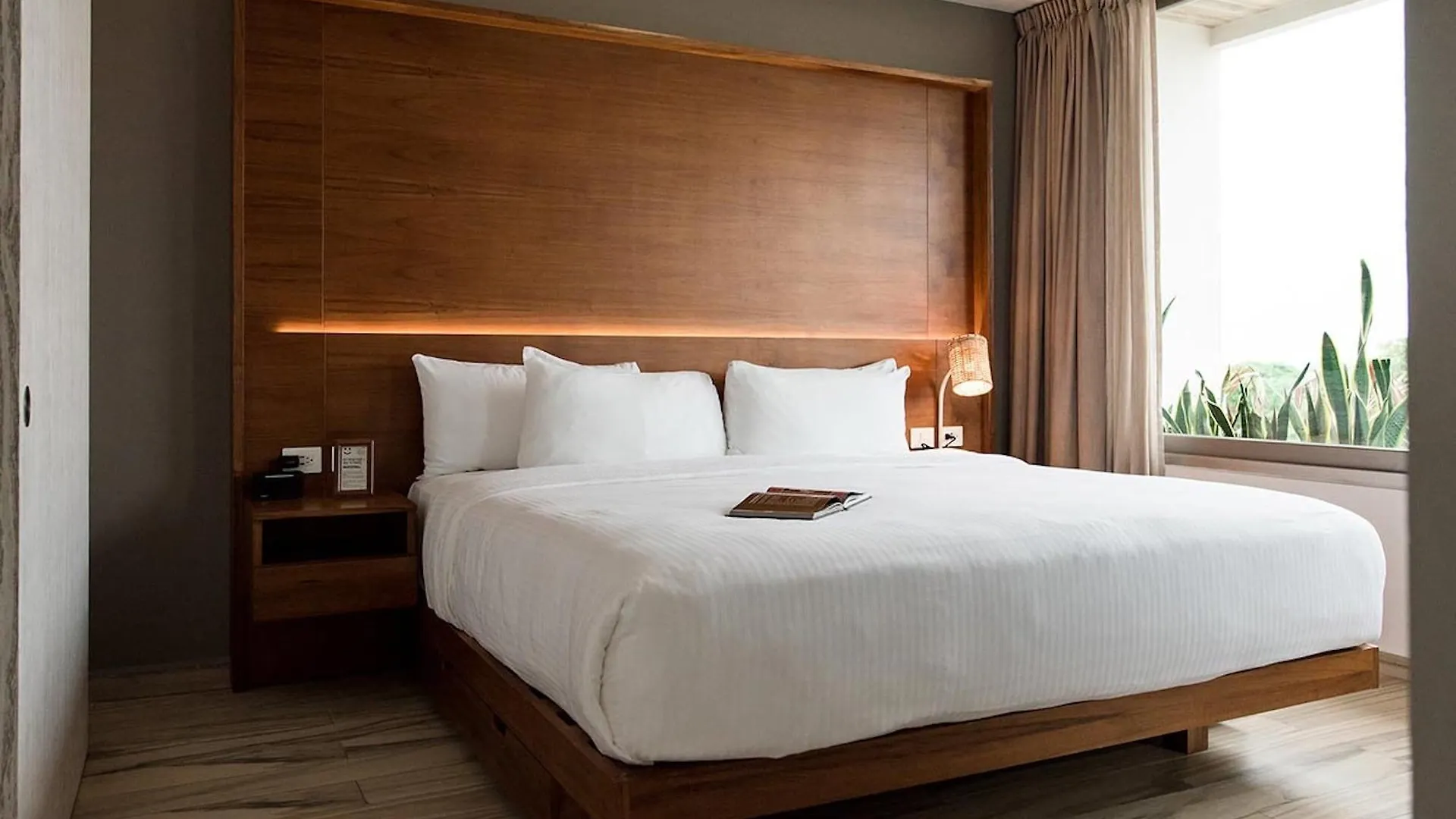 شقة Newport House Playa بلايا ديل كارمن